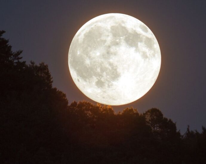 Moon Phase Matters